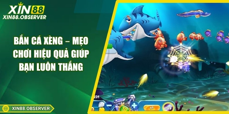 ban-ca-xeng
